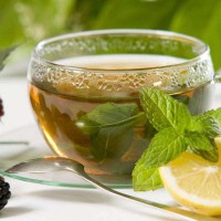 طرح توجیهی تولید چای کیسه ای با منشاء گیاهان داروئی