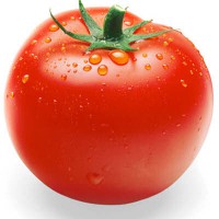 طرح کسب و کار تولید محصولات و مشتقات گوجه فرنگی