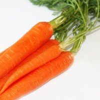 طرح توجیهی تولید کنسانتره و پودر هویج
