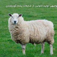 طرح توجیهی تولید لانولین از ضایعات پشم گوسفندی