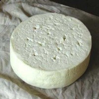 طرح کسب و کار تولید پنیر UF